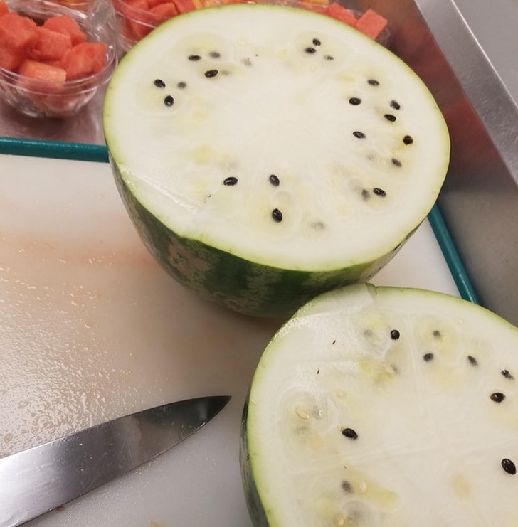 "Today, I found the worst watermelon ever."