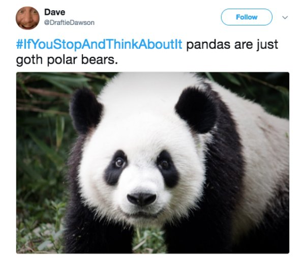 giant panda face - Dave collow pandas are just goth polar bears.