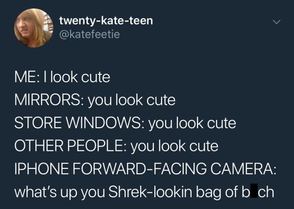 mental health check in hearts - twentykateteen Me I look cute Mirrors you look cute Store Windows you look cute Other People you look cute Iphone ForwardFacing Camera what's up you Shreklookin bag of b ch