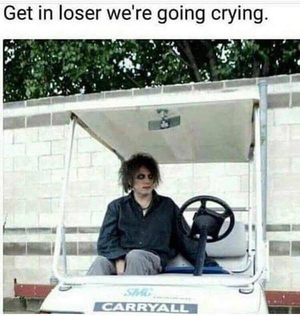 get in loser were going crying - Get in loser we're going crying. Carryall