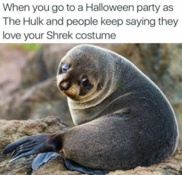 sad seal meme - When you go to a Halloween party as The Hulk and people keep saying they love your Shrek costume
