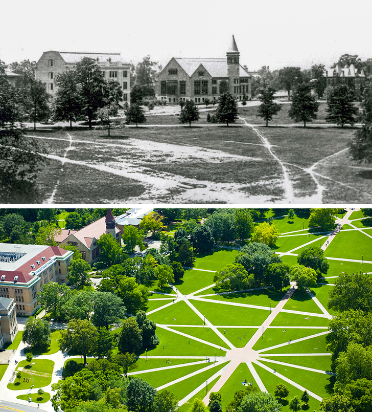 The walkways at Ohio State University were paved based on the students’ desired paths.