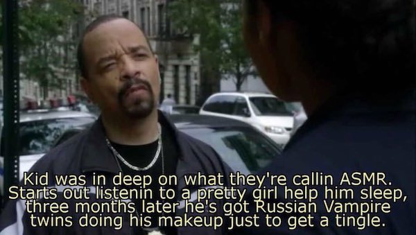 ice t svu memes - Kid was in deep on what they're callin Asmr. Starts out listenin to a pretty girl help him sleep, three months later he's got Russian Vampire twins doing his makeup just to get a tingle.
