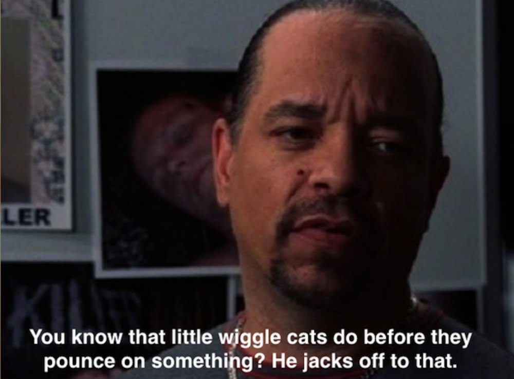 ice t svu memes - Ler You know that little wiggle cats do before they pounc...