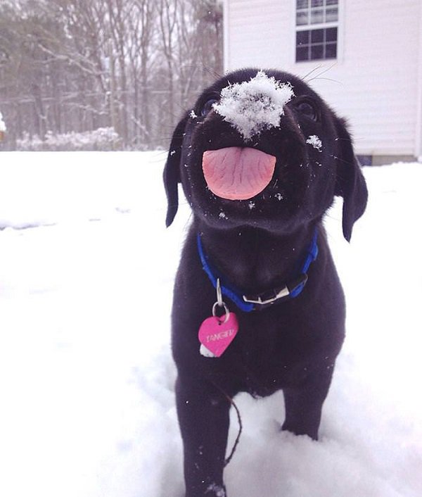 24 pics to put a smile on your face
