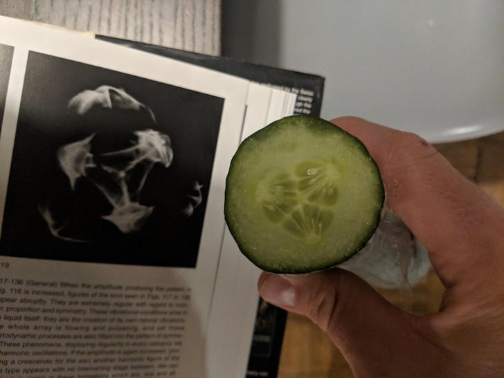 The pattern in this cucumber matches experiments of sound vibrations in fluids.