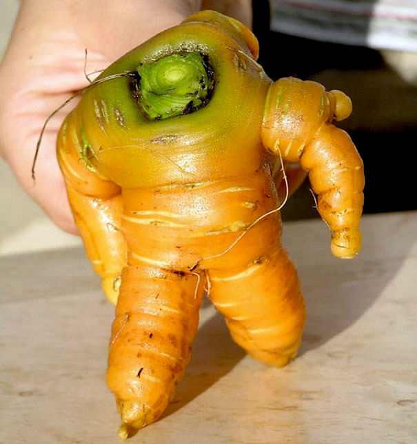 cursed images - different shapes of vegetables