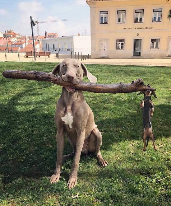 random branch manager and assistant branch manager