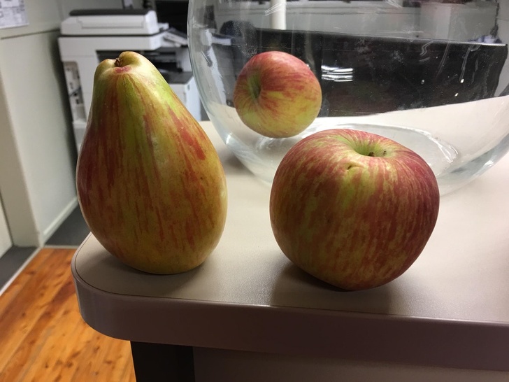This pear-shaped apple
