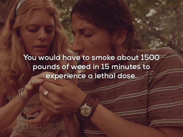 boy and girl smoking weed - You would have to smoke about 1500 pounds of weed in 15 minutes to experience a lethal dose.