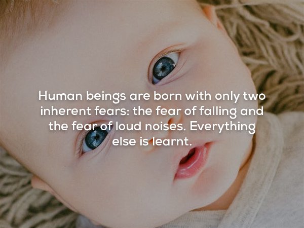 nice baby - Human beings are born with only two inherent fears the fear of falling and the fear of loud noises. Everything else is learnt.