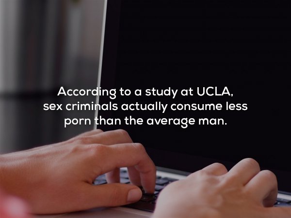 good name for blogger - According to a study at Ucla, sex criminals actually consume less porn than the average man.