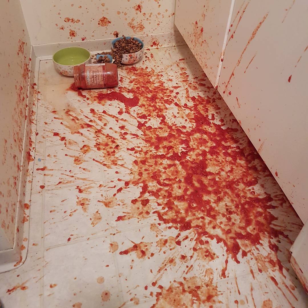 This is not a crime scene — just some pasta sauce on the kitchen floor.