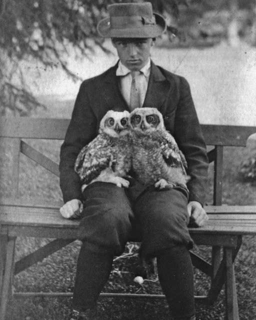 A boy with his pet owls in England in 1910.