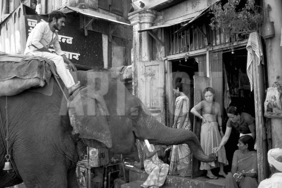 A pimp on his elephant collects money from hookers in Mumbai, India in 1980.