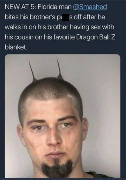 florida man bites off brother's penis - New At 5 Florida man bites his brother's pa s off after he walks in on his brother having sex with his cousin on his favorite Dragon Ball Z blanket.