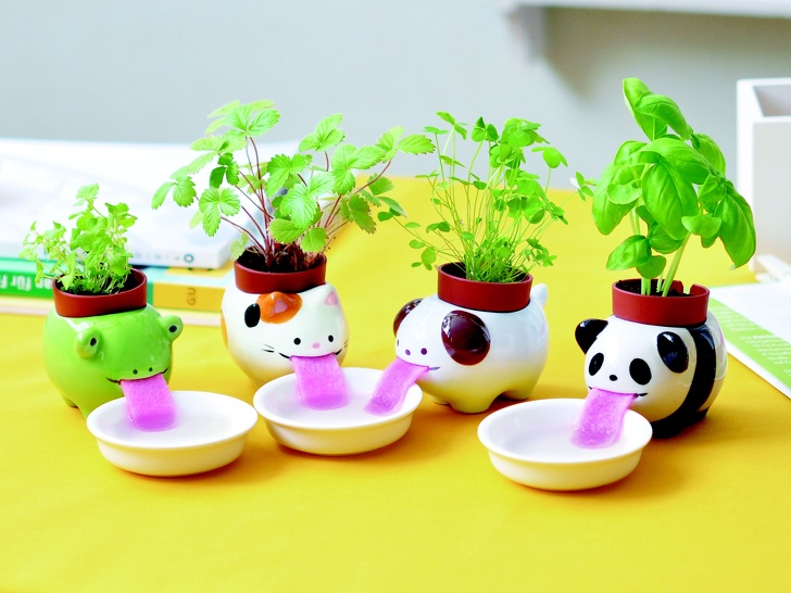 Flowerpots that water flowers on their own