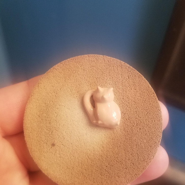 “The makeup squirt on my sponge resembled a cat this morning.”