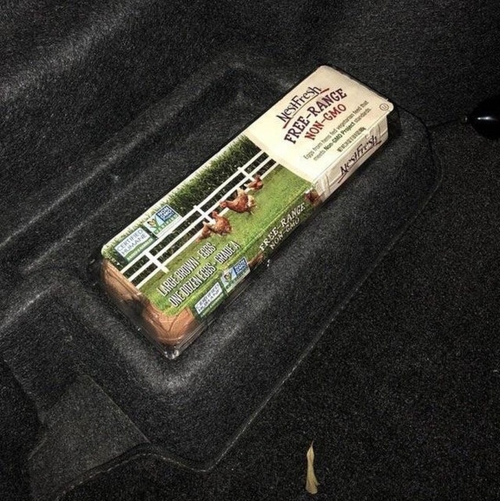 A car trunk that has an egg carton holder