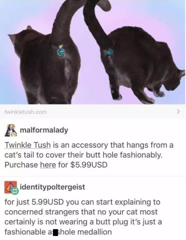 twinkle tush reddit - twinkletush.com Amalformalady Twinkle Tush is an accessory that hangs from a cat's tail to cover their butt hole fashionably. Purchase here for $5.99USD identitypoltergeist for just 5.99USD you can start explaining to concerned stran