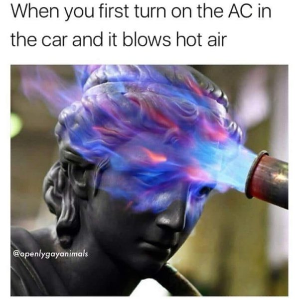 summer memes - When you first turn on the Ac in the car and it blows hot air