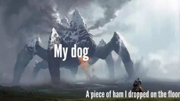 shadow of the colossus 2 - My dog A piece of ham I dropped on the floor