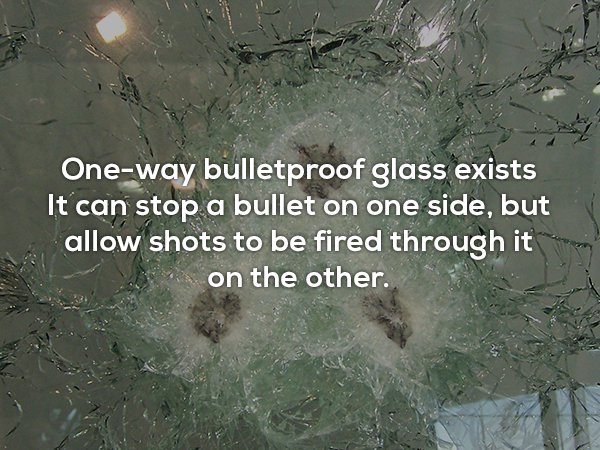 25 useless facts you need to know for no reason at all