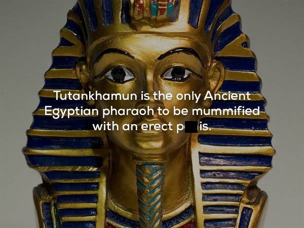 creepy fact Tutankhamun is the only Ancient Egyptian pharaoh to be mummified with an erect p is.
