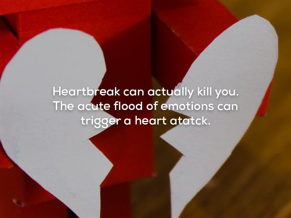 creepy fact heart - Heartbreak can actually kill you. The acute flood of emotions can trigger a heart atatck.