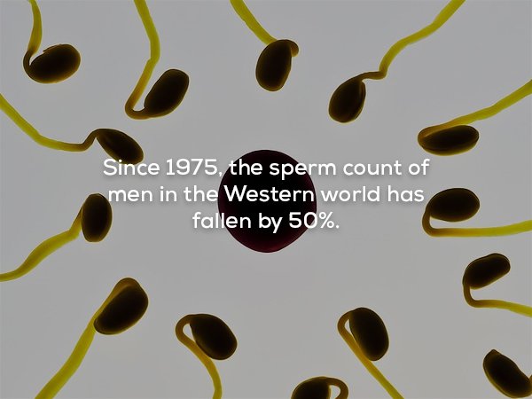creepy fact Since 1975, the sperm count of men in the Western world has fallen by 50%.