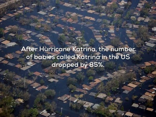 creepy fact hurricane katrina new orleans - After Hurricane Katrina, the number of babies called Katrina in the Us dropped by 85%