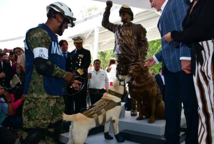 Rescue dog receives a statue after saving the lives of 12 people during the aftermath of the Mexico earthquake of last year