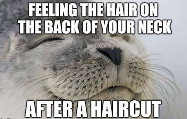 funny only men will understand memes - Feeling The Hair On The Back Of Your Neck After A Haircut