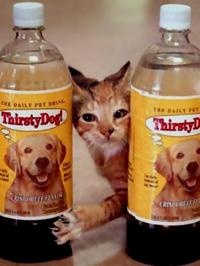 In 1994 a bottled water for cats and dogs were launched. These beverages were carbonated, vitamin enriched and flavored. The product flopped after consumers realized that it's actually completely unnecessary to give pets this kind of beverage