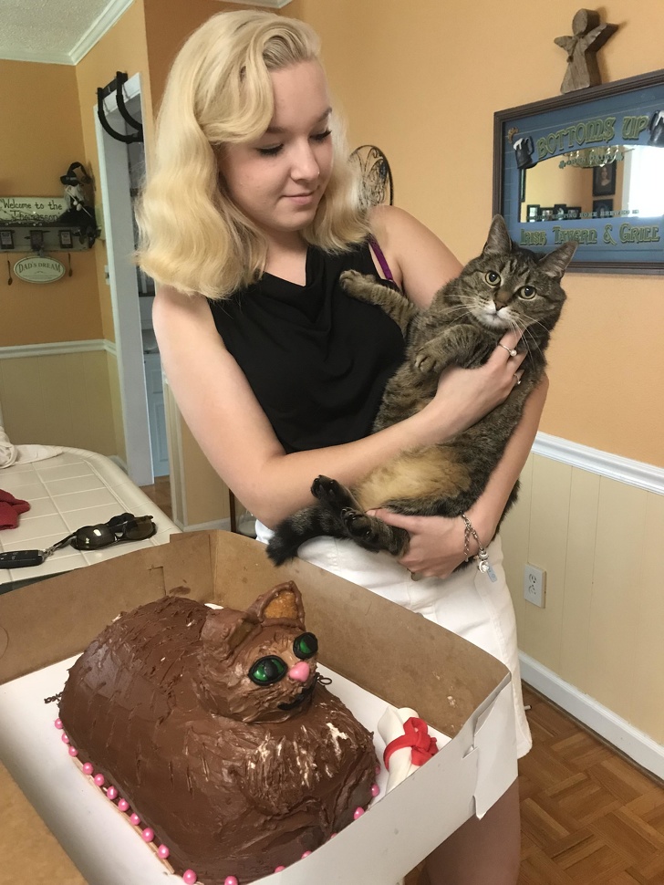 cake that looks like a cat - noms up Welcome to the 2193 Teen Criel Coad'S Dream