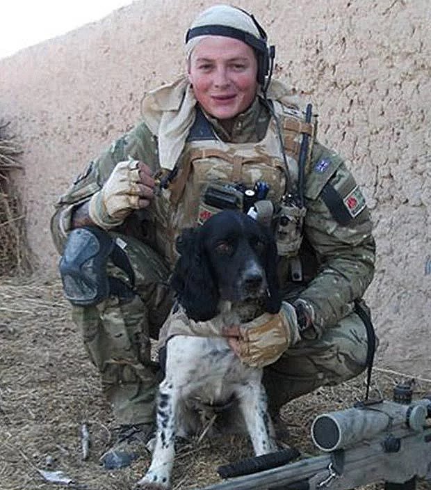 A British bomb detection dog named Theo died from stress a few hours after seeing his handler get shot. The pair had set a record for bomb detection, and the dog was posthumously awarded an honour equivalent to the Victoria Cross.