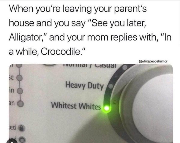 angle - When you're leaving your parent's house and you say "See you later, Alligator," and your mom replies with, "In a while, Crocodile." Formal casual Heavy Duty Whitest Whites