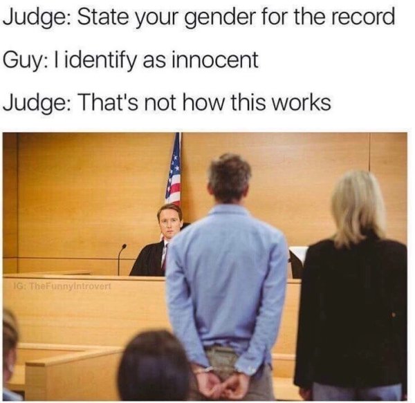identify as innocent - Judge State your gender for the record Guy l identify as innocent Judge That's not how this works Ig The FunnyIntrovert