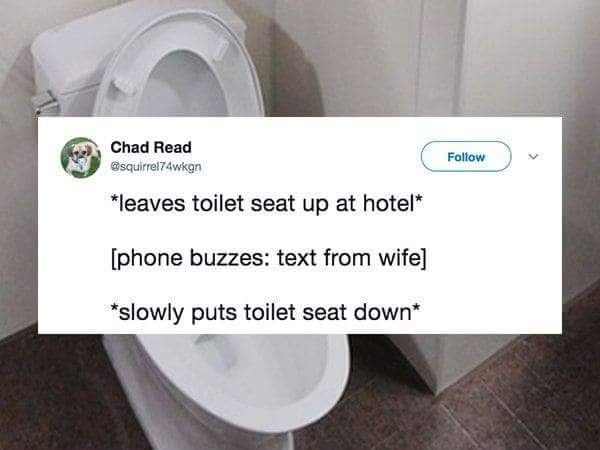 toilet seat - Chad Read Chad Read leaves toilet seat up at hotel phone buzzes text from wife slowly puts toilet seat down