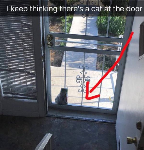 double take Optical illusion - I keep thinking there's a cat at the door