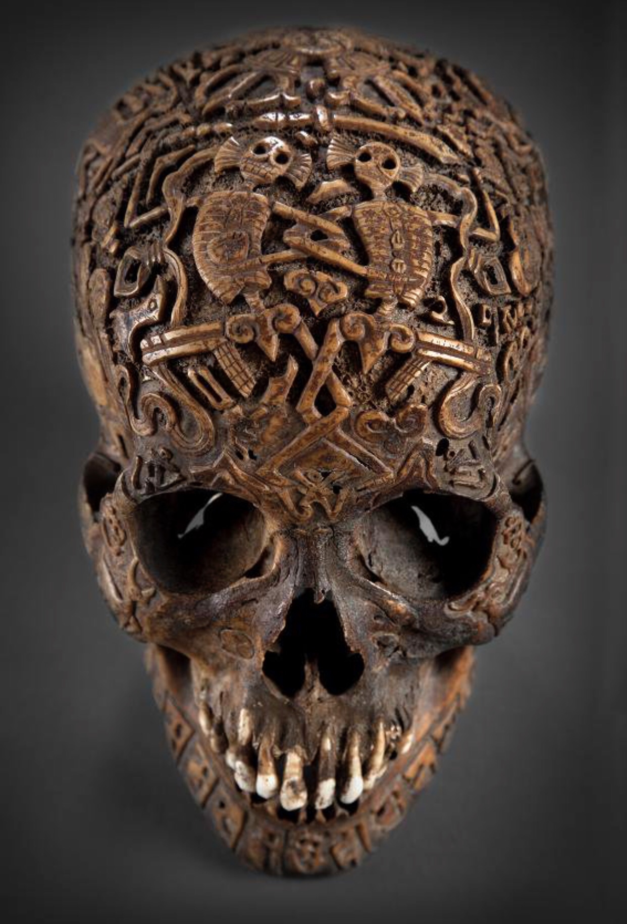 engraved human skull