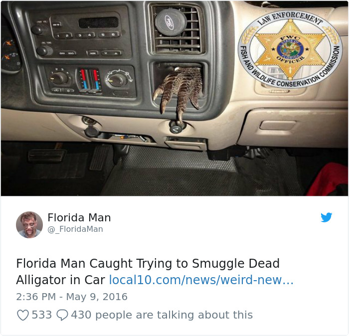 did that get there - Enforceme Ment Law En Fish And Noissim Wo Wildlife E Conservation On Commis Florida Man Man Florida Man Caught Trying to Smuggle Dead Alligator in Car local10.comnewsweirdnew... 533