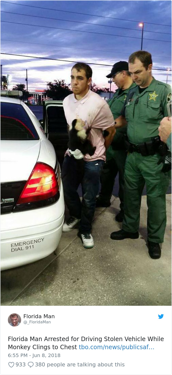cody blake hession - Emergency Dial 911 Florida Florida Man Man Florida Man Arrested for Driving Stolen Vehicle While Monkey Clings to Chest tbo.comnewspublicsaf... 933