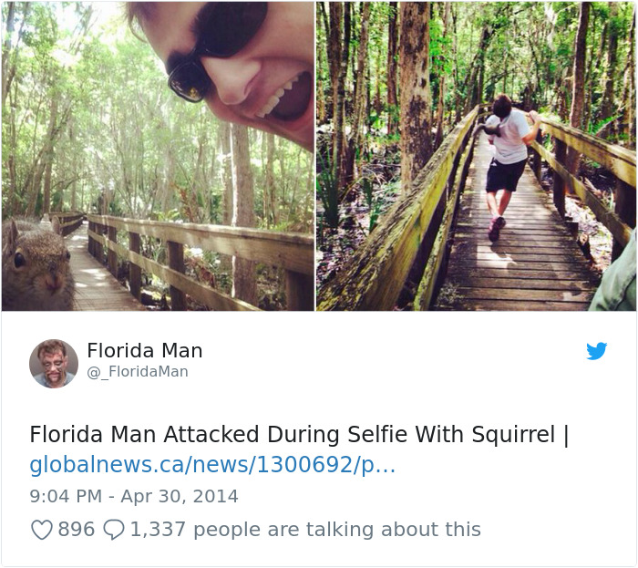 squirrel selfie attack - Florida Man Man Florida Man Attacked During Selfie With Squirrel | globalnews.canews1300692p... 896 Q 1,