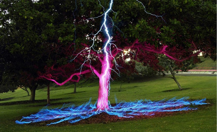 A long exposure photo of a lightning bolt hitting a tree