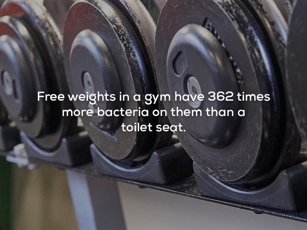 wtf facts - metal - Free weights in a gym have 362 times more bacteria on them than a toilet seat.