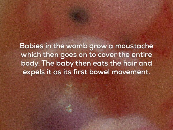 wtf facts - close up - Babies in the womb grow a moustache which then goes on to cover the entire body. The baby then eats the hair and expels it as its first bowel movement.