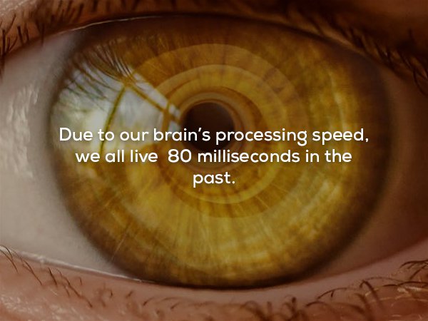 wtf facts - Nasolacrimal duct - Due to our brain's processing speed, we all live 80 milliseconds in the past.
