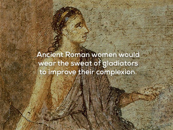 wtf facts - Ancient Rome - Ancient Roman women would wear the sweat of gladiators to improve their complexion.