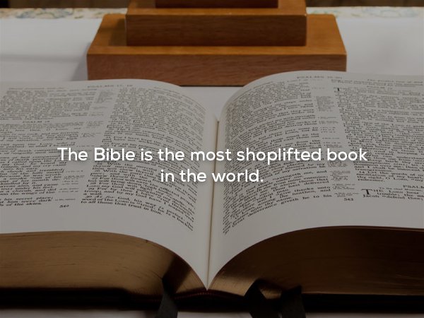 wtf facts - bible verses about marijuana - The Bible is the most shoplifted book in the world.